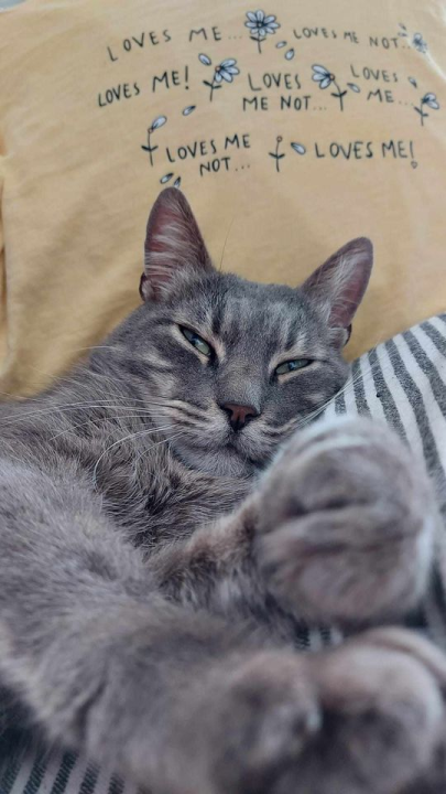 Omiljeni bistro Kod Starog odlično je odredište i u ljetnim danima!