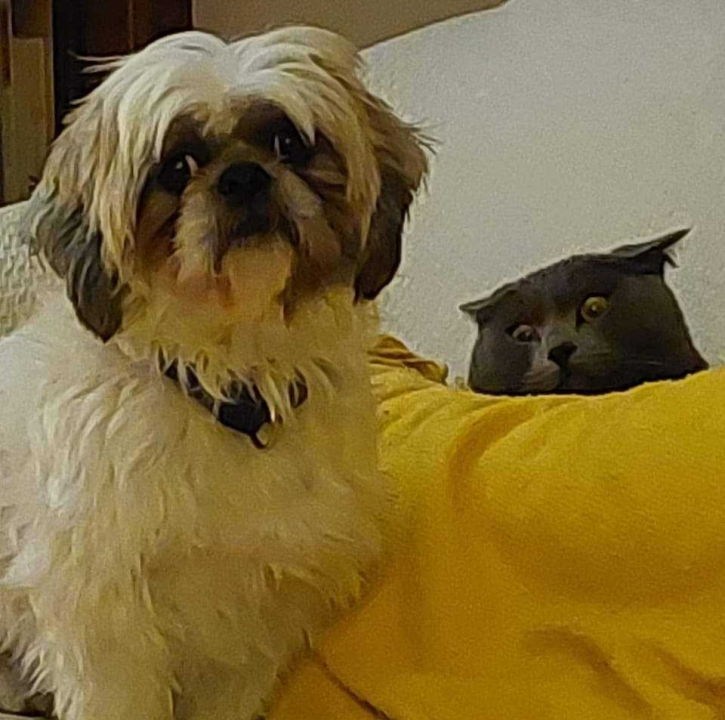 Omiljeni bistro Kod Starog odlično je odredište i u ljetnim danima!