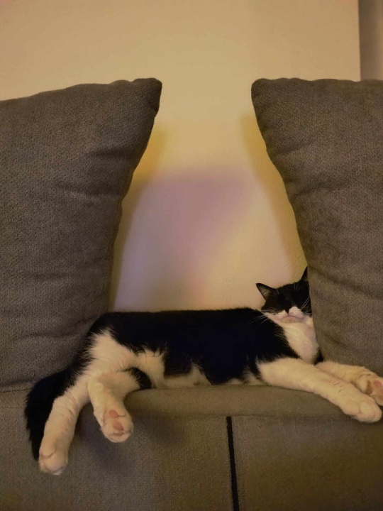 Provjerite tko su naj ljubimci 2024. godine!