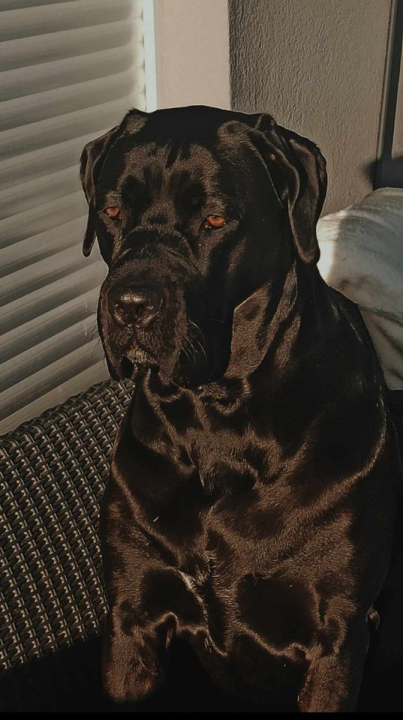 Provjerite tko su naj ljubimci 2024. godine!