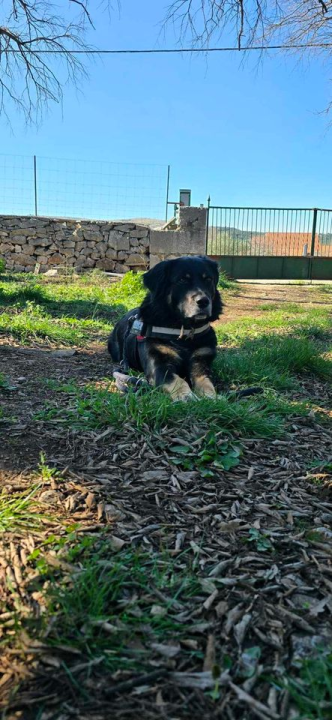 Provjerite tko su naj ljubimci 2024. godine!