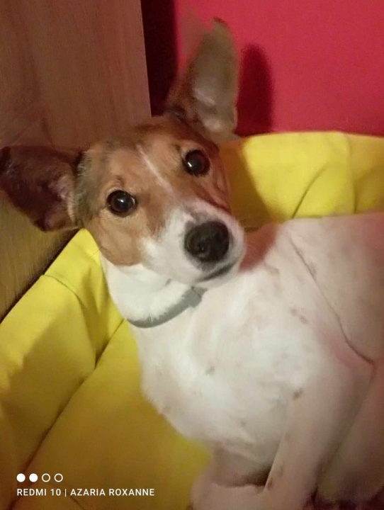 Omiljeni bistro Kod Starog odlično je odredište i u ljetnim danima!