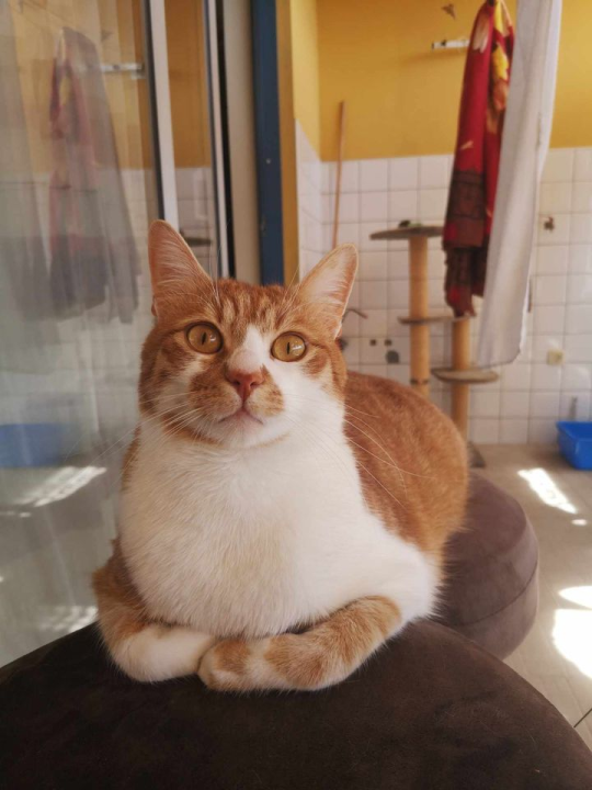 Omiljeni bistro Kod Starog odlično je odredište i u ljetnim danima!