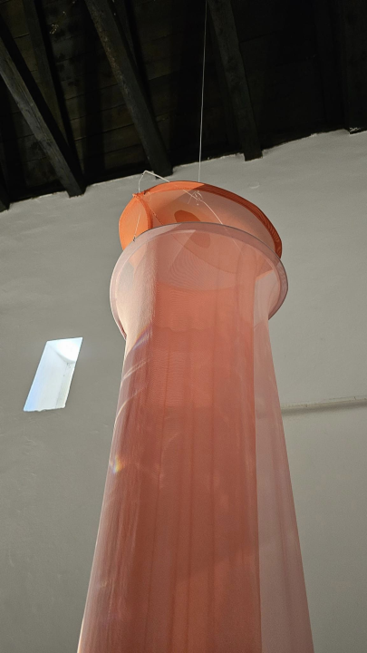 Šibenska grafičarka Anita Celić izložbom 'Odlazak' progovara u dubokim temama