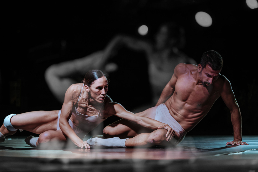 Anatomija zagrljaja i preispitivanje percepcije vlastitog tijela na tvrđavi Barone