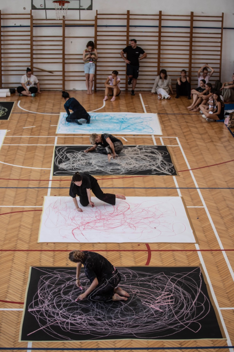 Izvedba ispunjena snažnim emocijama dotaknula je publiku i zaokružila 13. izdanje Šibenik Dance Festivala 