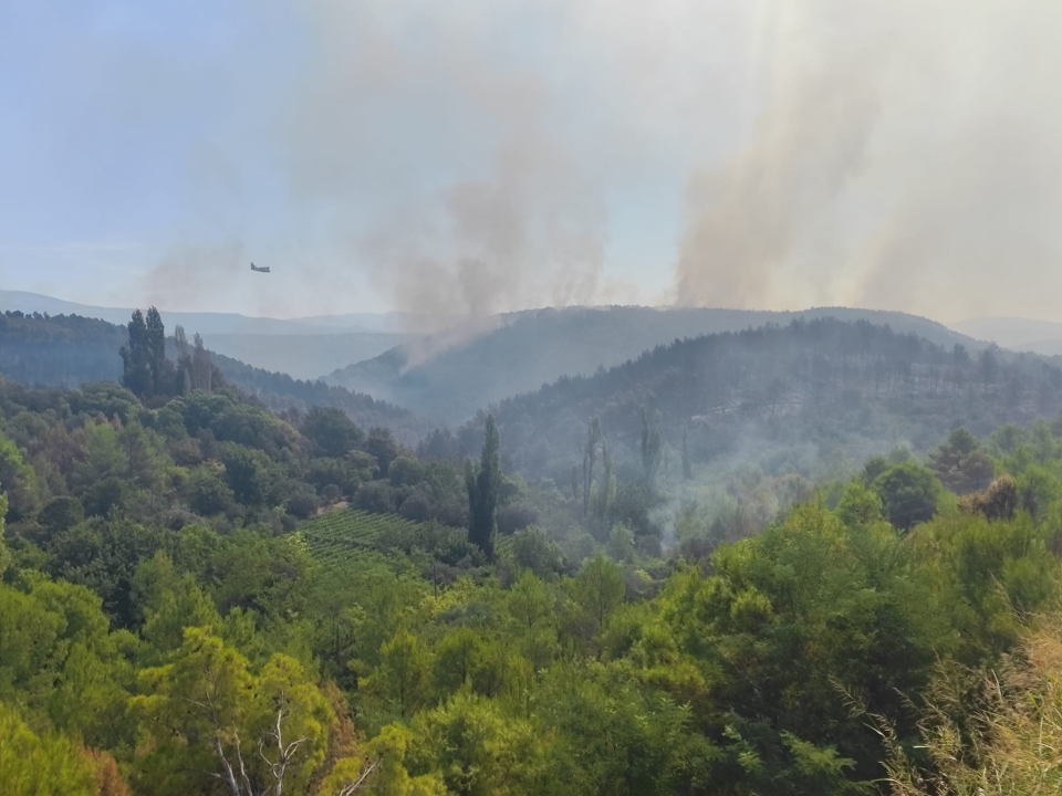 Vodički vatrogasci, nakon pet dana na požarištu, spasili mladog sokola