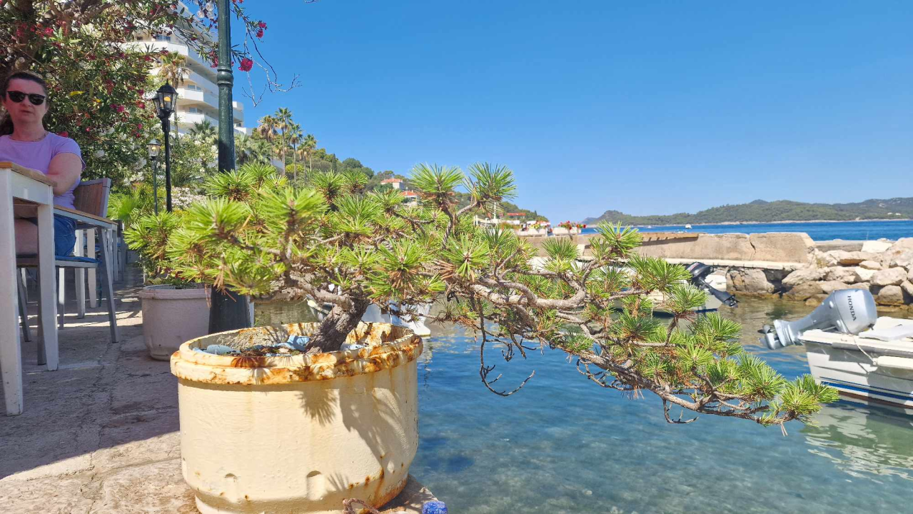 Morska avantura  ŠibenikIN-a: Tjedan dana jedrenja do Dubrovnika, prekrasnih otoka i vala uz nezaboravnu igru dupina