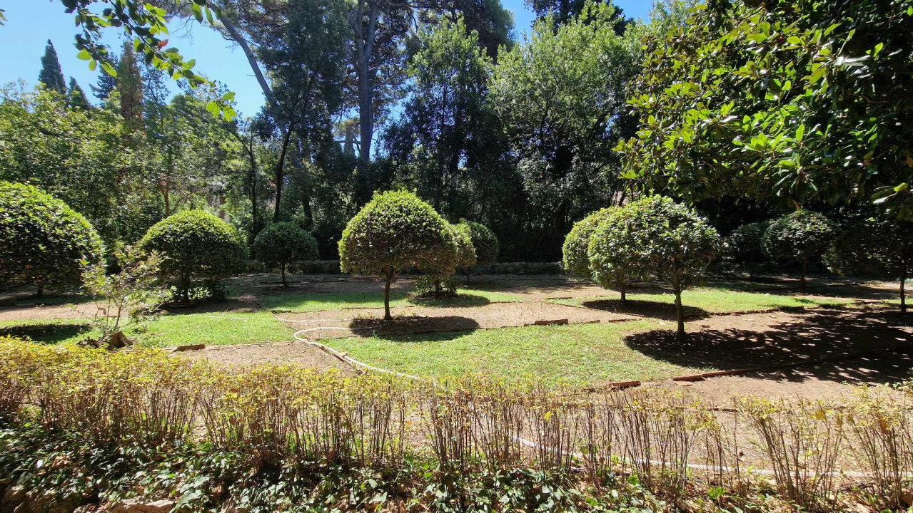 Morska avantura  ŠibenikIN-a: Tjedan dana jedrenja do Dubrovnika, prekrasnih otoka i vala uz nezaboravnu igru dupina