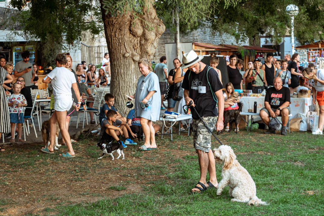 Šibenske šape rođendan proslavile izložbom pasa, tombolom i kvizom