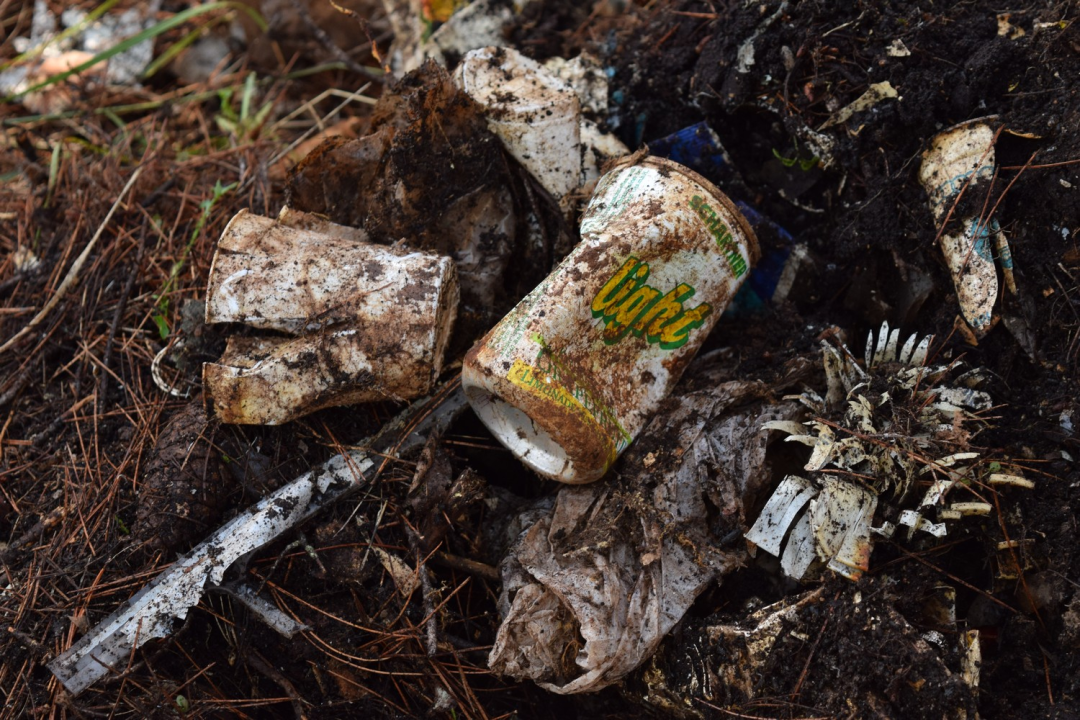 NP Krka sudjelovao u globalnom eko-projektu Zelena čistka 