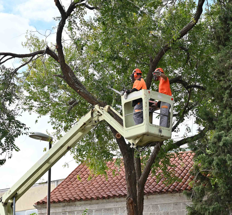 FOTO Đir po gradu, četvrtak 10. listopada