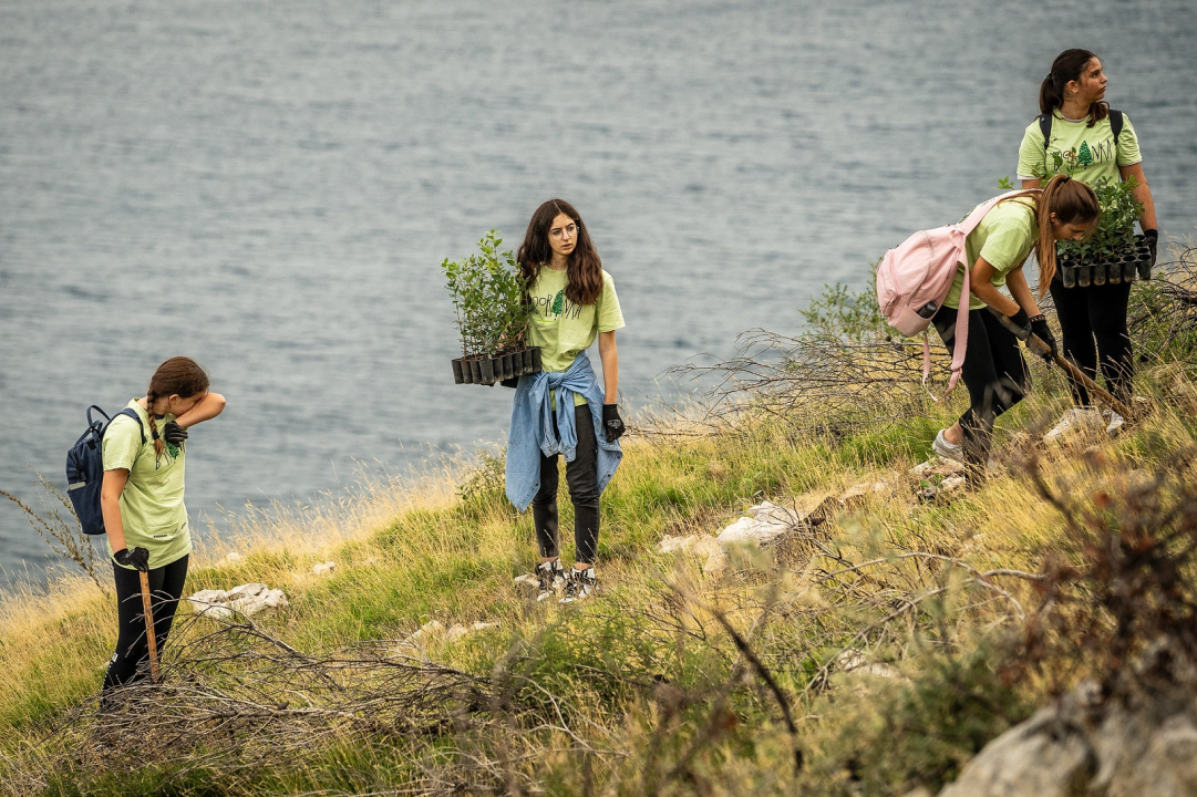 Gotovo 1000 volontera sudjelovalo u pošumljavanju Grebaštice
