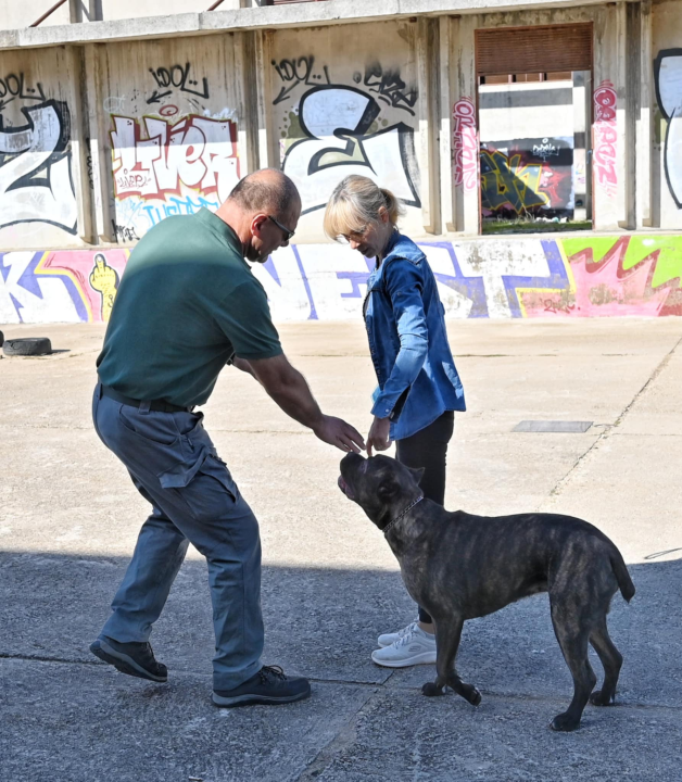 Marko Čogelja savjetuje kako dobro odgojiti psa