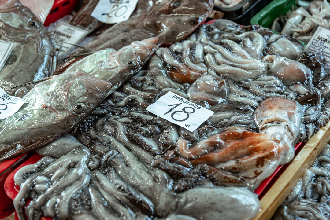 Prepuni banci na šibenskoj peškariji, kupaca ne fali, ali bira se jeftinije