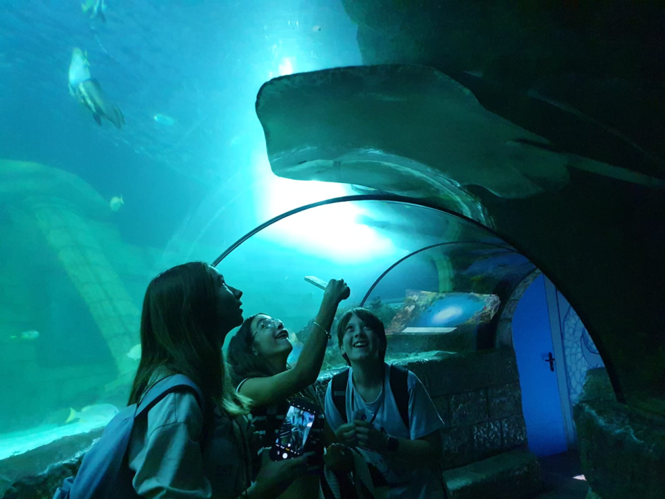 Od Šibenika do Porta: Četvero učenika OŠ Juraj Šižgorić otputovalo u Portugal