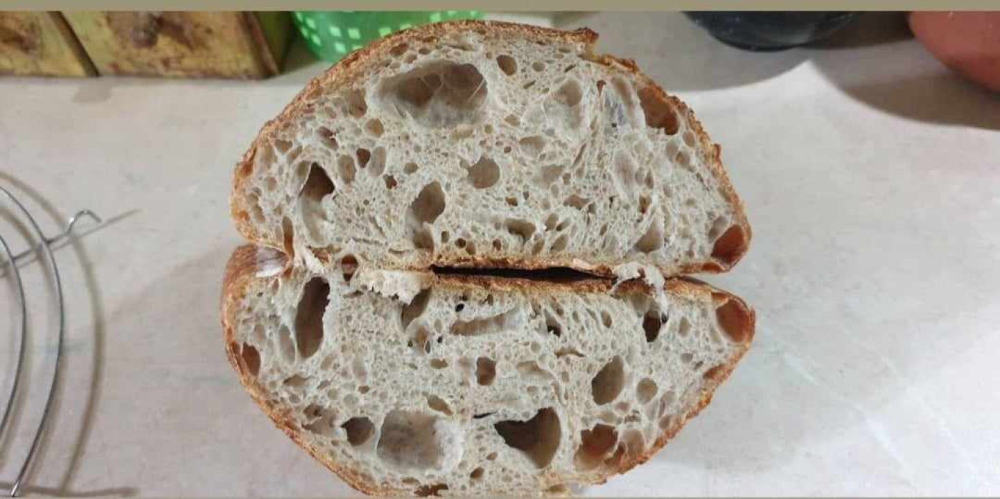Recept za sourdough kruh Sanje Antunac od durum pšenice