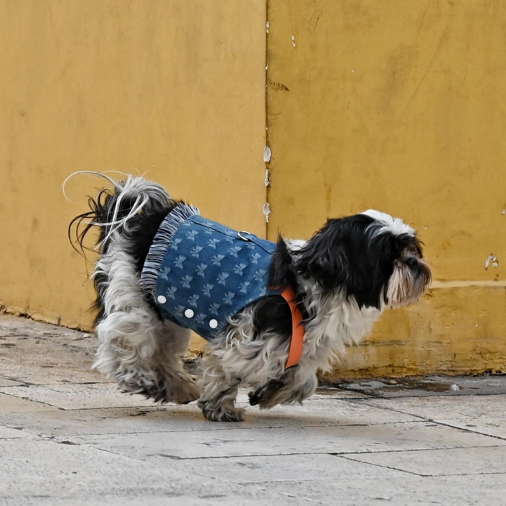FOTO Đir po gradu, nedjelja 24. studenog
