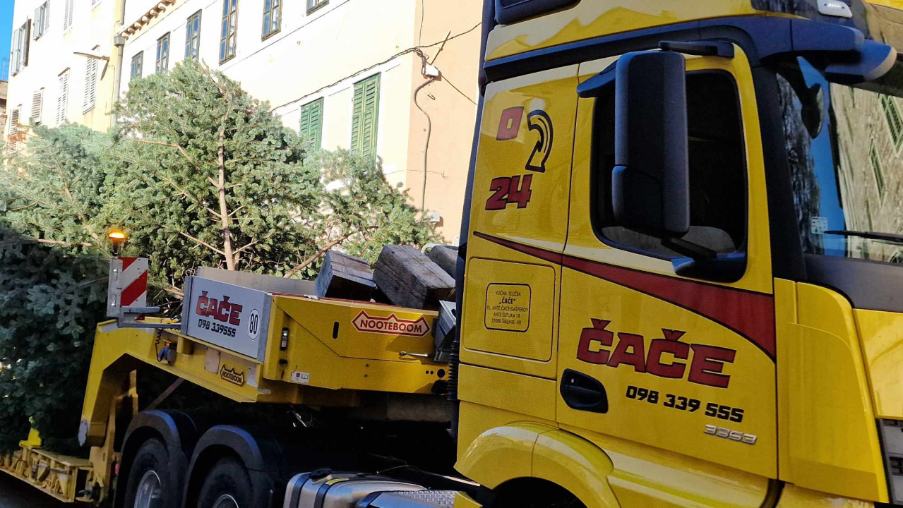 Na Poljani postavljena prva prava šibenska jelka: Kod klizališta stigla ravno sa Šubićevca