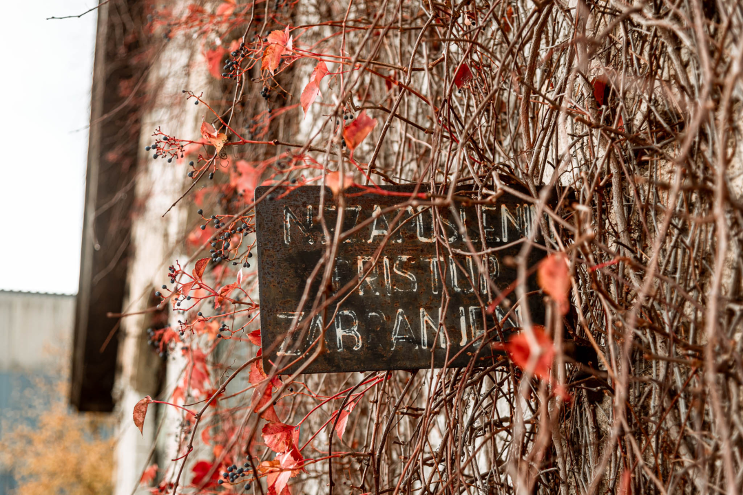 Crtica sa šibenskog željezničkog kolodvora: Nije nešto prometan, ali je zato jako fotogeničan 