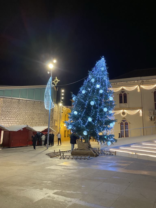 Brzom intervencijom Čače, vatrogasaca i policije Šibenik više nema kosi bor