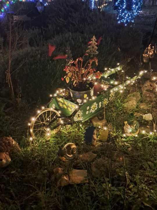 Božićni vrt obitelji Vlahov oduševljava: Blista s 27 tisuća lampica