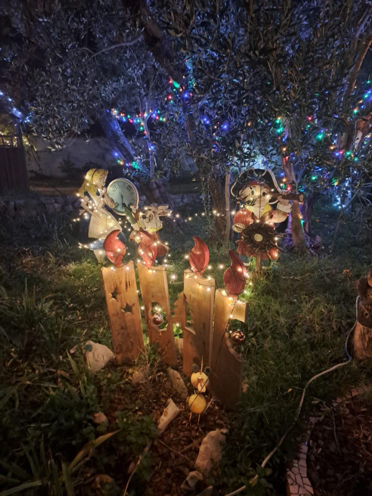 Božićni vrt obitelji Vlahov oduševljava: Blista s 27 tisuća lampica