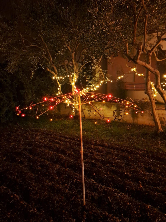 Božićni vrt obitelji Vlahov oduševljava: Blista s 27 tisuća lampica