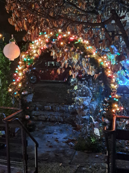 Božićni vrt obitelji Vlahov oduševljava: Blista s 27 tisuća lampica