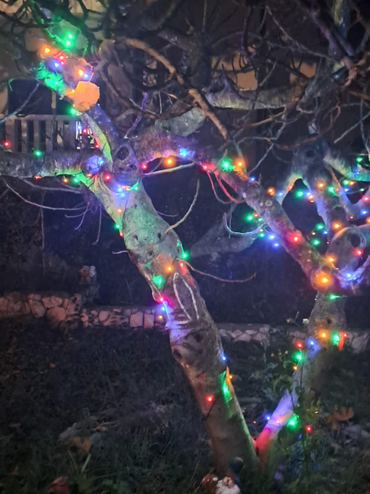 Božićni vrt obitelji Vlahov oduševljava: Blista s 27 tisuća lampica