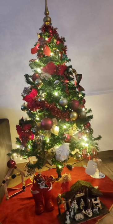 Provjerite tko su pobjednici izbora za naj jelku!