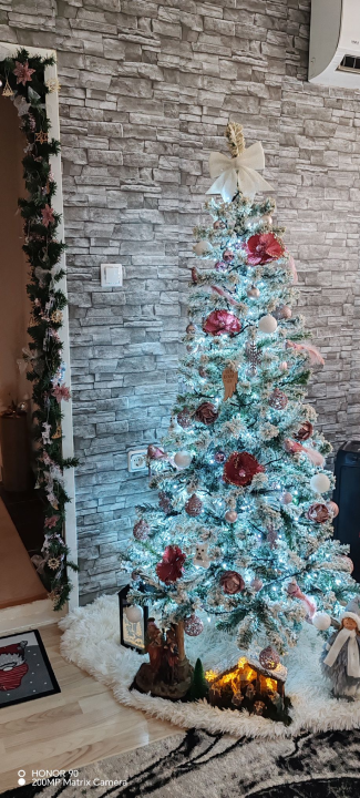 Provjerite tko su pobjednici izbora za naj jelku!