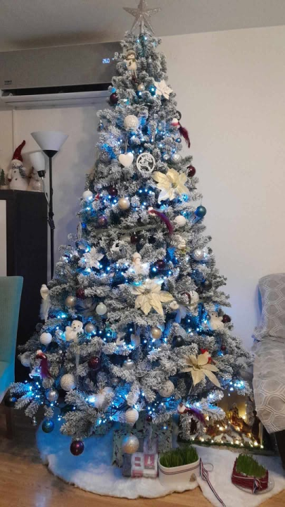 Provjerite tko su pobjednici izbora za naj jelku!