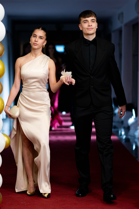 Maturalni ples tehničke škole Šibenik (2)