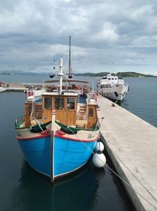 Desto: životna priča starog vodičkog trabakula