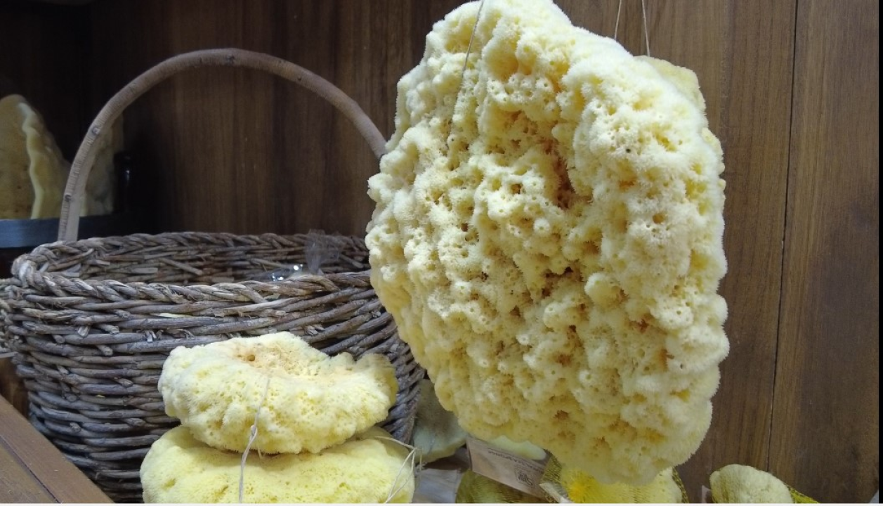 Milena Tanfara, rođena Norvežanka, na Krapnju je pronašla ljubav i ondje uspješno razvija obiteljski posao 