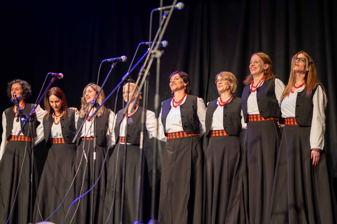 Humanitarni koncert u Vodicama: Klape zapjevale za malu Petru