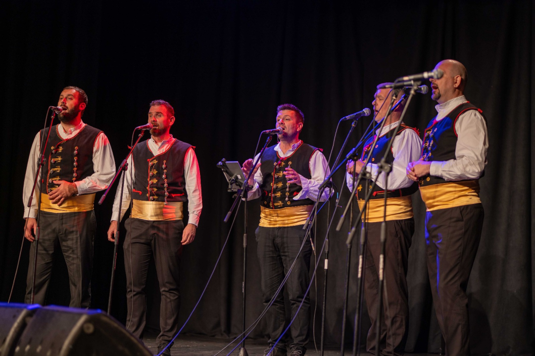 Humanitarni koncert u Vodicama: Klape zapjevale za malu Petru