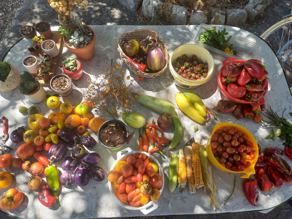 Antonija je ekonomiju zamijenila prirodom