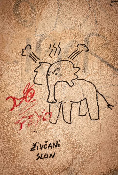 Dolac – povijesna duša Šibenika s mediteranskim šarmom