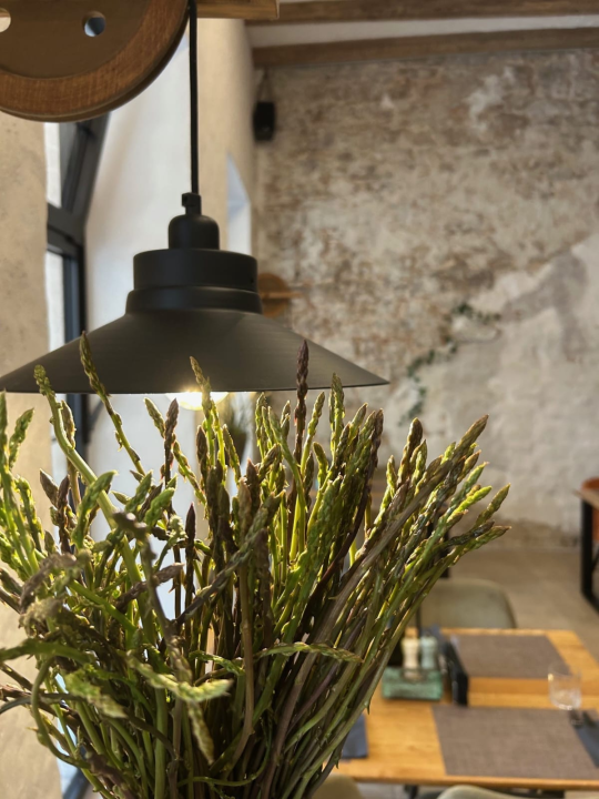 FOTO Dani šparoga u Bavi