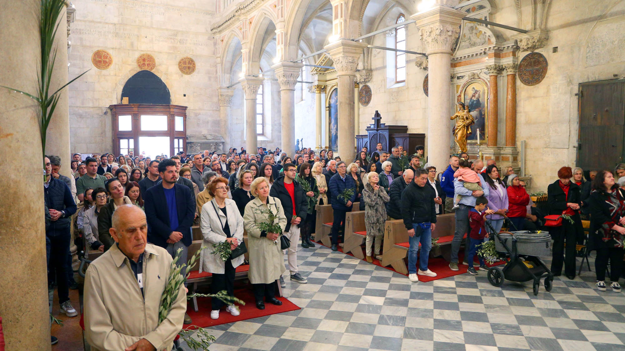 Cvjetnica u Šibeniku