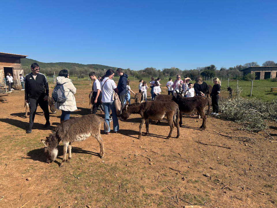 Terenska nastava učenica iz Crne Gore