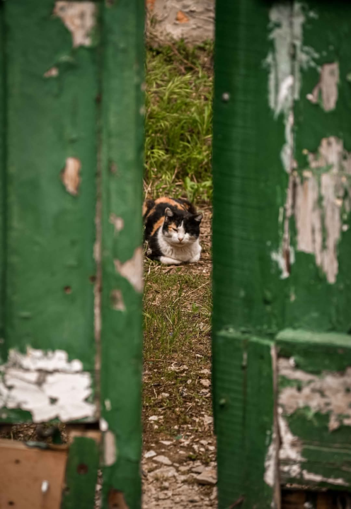 Građa – šibenski kvart između stare gradske jezgre i tvrđava