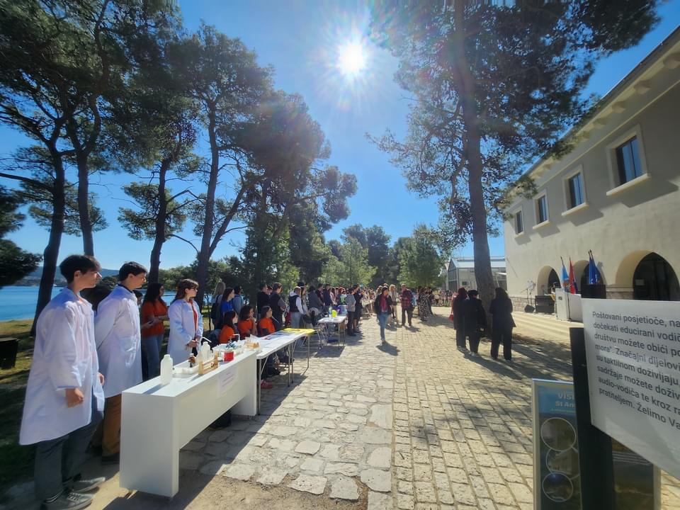 'Kako je počela znanost na mom otoku?': U kanalu sv. Ante županijska smotra obrazovnih institucija