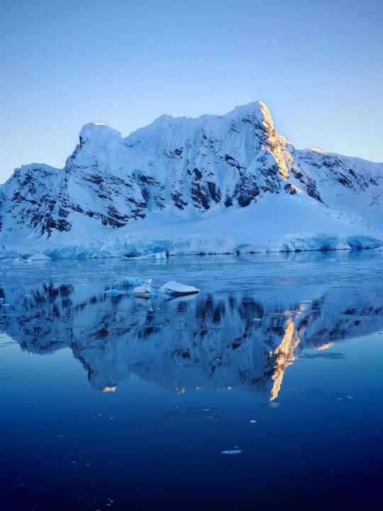 Veliki Gogo, prvi Šibenčanin na Antarktici: 'Skočio sam u more dva puta, a pingvini baš i ne mirišu najbolje'