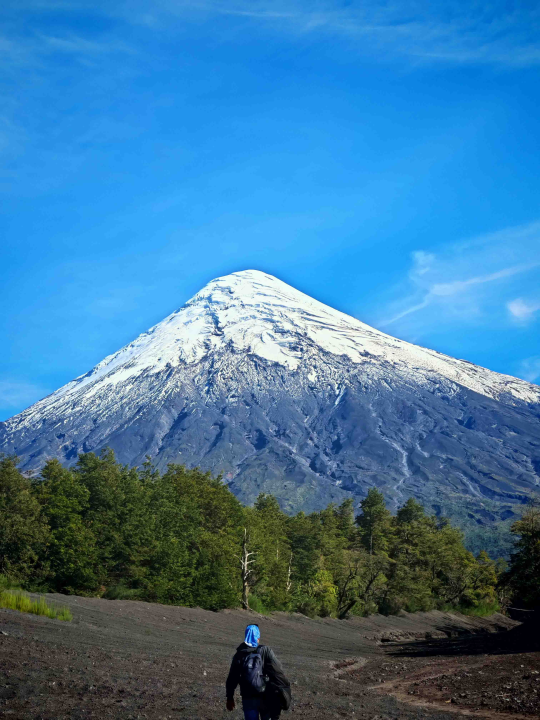 Veliki Gogo, prvi Šibenčanin na Antarktici: 'Skočio sam u more dva puta, a pingvini baš i ne mirišu najbolje'