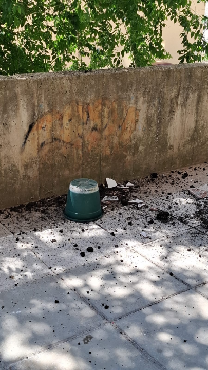 Pitari ugrozili prolaznike i djecu: Apel građana nakon potencijalno opasne situacije ispred vrtića