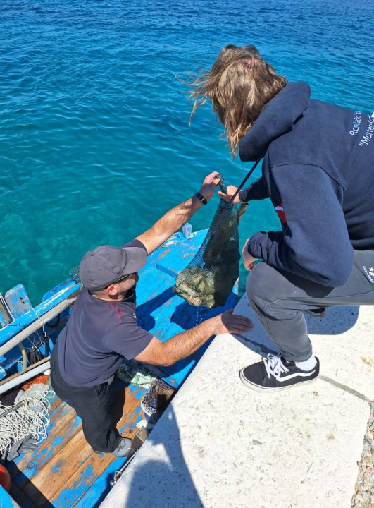 Ekološka akcija na murterskim Podvrškama: Ronioci i volonteri izvukli hrpu otpada iz mora