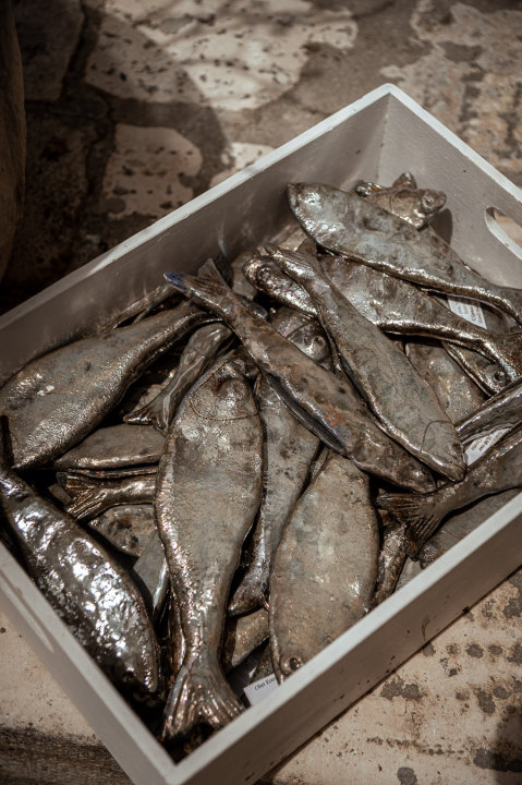 FOTO U Galeriji Juraj Dalmatinac, Bućan i Prica po odličnim cijenama, ali i još mnogo toga!